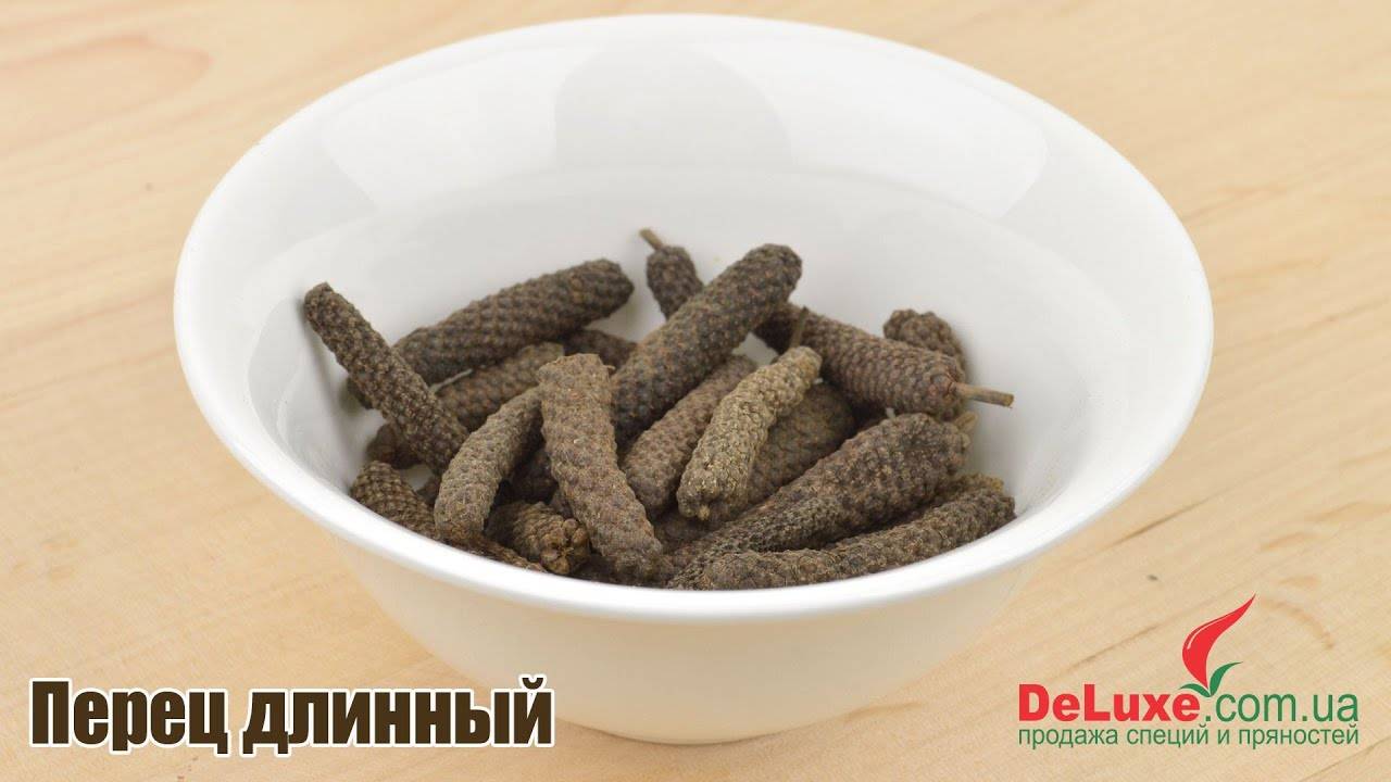 Описание индийского перца пиппали