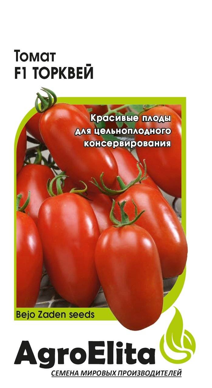 Томат торквей