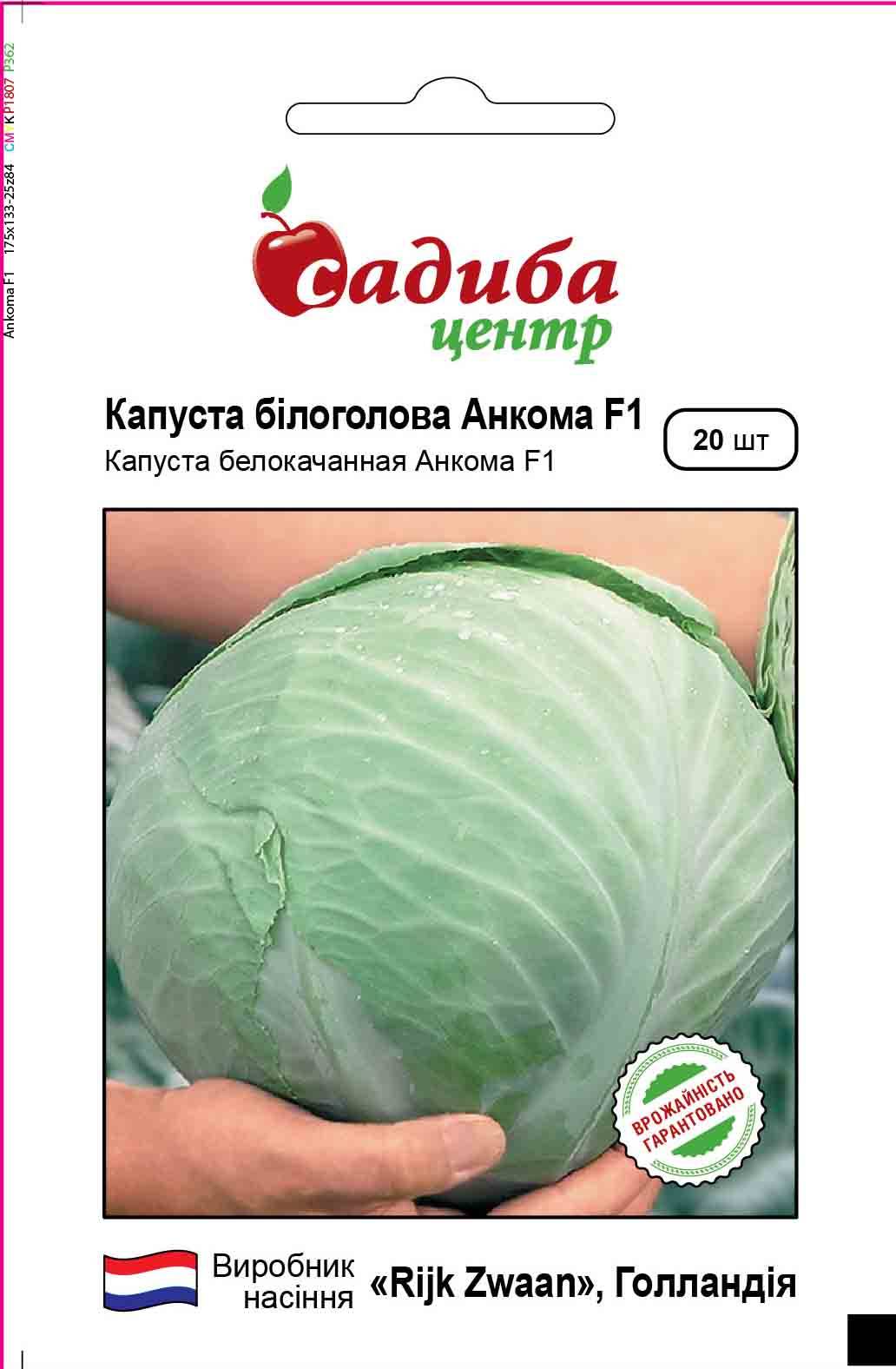 Сорт с прекрасными вкусовыми качествами — капуста анкома f1: полное описание и отзывы