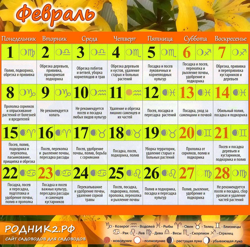 Дни посева цветов в феврале 2024. Календарь посадок. Лунный посевной календарь. Календарь посадки растений. Лунный календарь посадок на февраль.