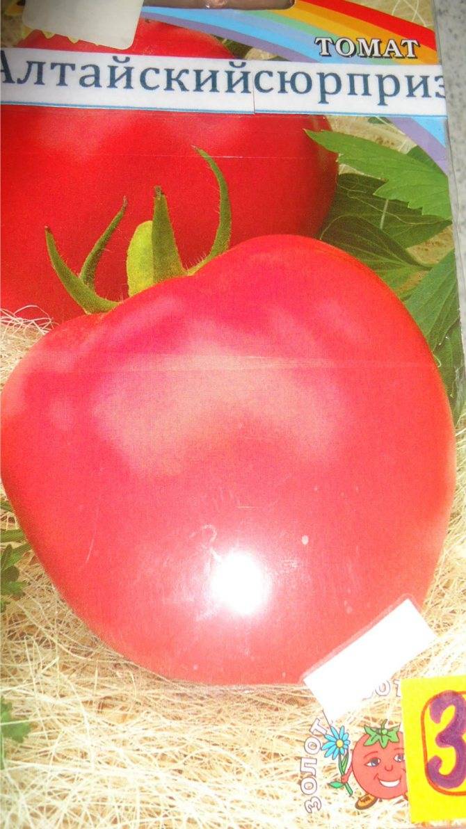 Описание сорта томата подарочный, его характеристика и урожайность