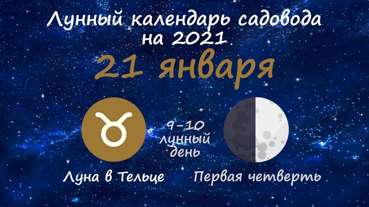 Лунный посевной календарь на март 2021 года садовода и огородника