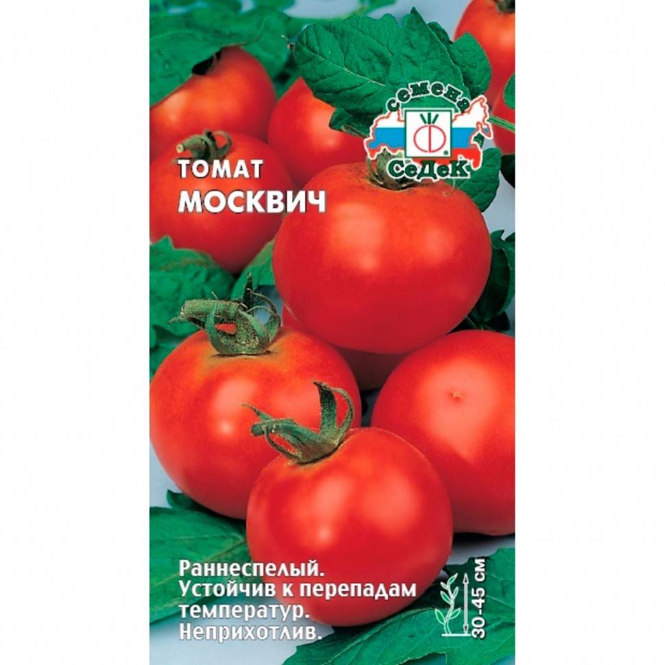 Томат москвич - описание сорта, характеристика, урожайность, отзывы, фото