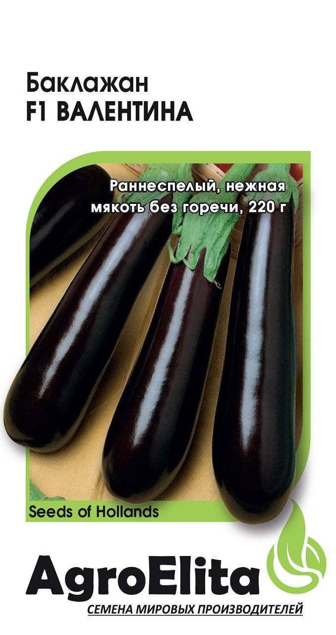 Баклажан валентина — тонкий, но вкусный!