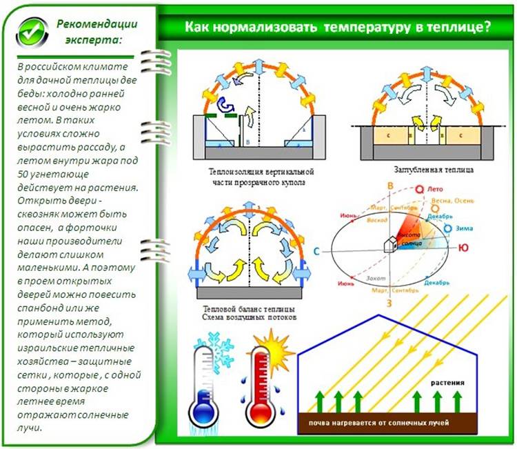 Какая температура в поликарбонатной теплице. Парник поликарбонат 4*2 схема посадки. Оптимальная температура в теплице. Какая температура в теплице из поликарбоната. Тепловой режим в теплице.