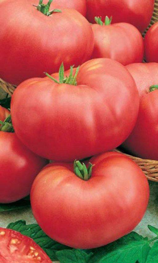 ✅ тяжеловес сибири: описание сорта томата, характеристики помидоров, посев - tehnomir32.ru