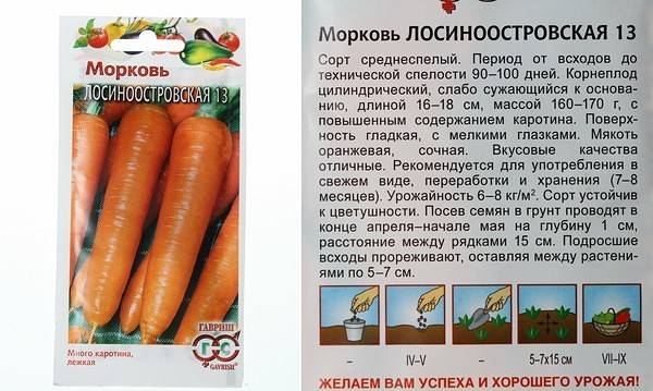 Морковь лосиноостровская 13 — описание сорта, особенности выращивания