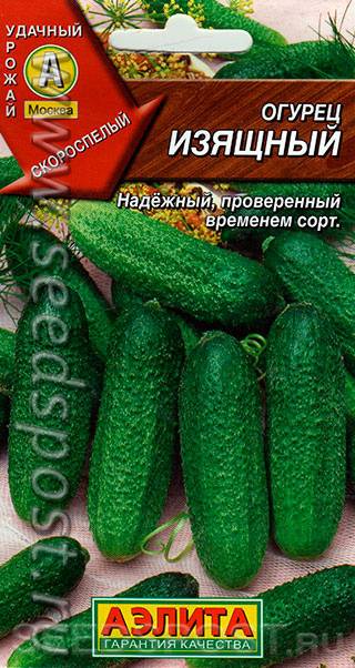 Огурец богатырская сила f1 — описание и характеристика сорта