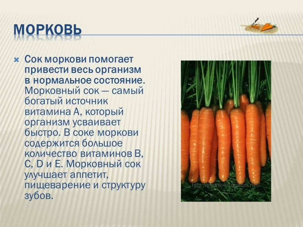 Морковь какая прилагательные