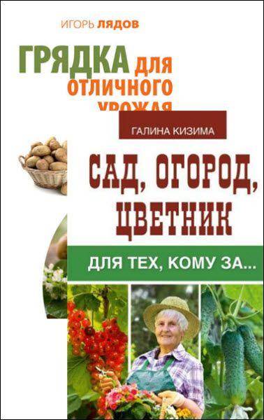 Выращивание картофеля по методу кизимы: описание правил посадки и секреты агротехники