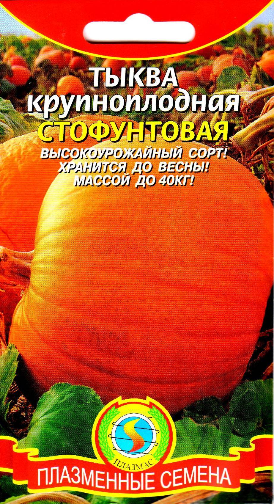 Тыква «россиянка»: характеристики сорта, фото, выращивание, отзывы