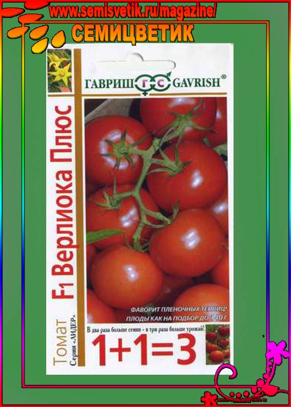 Описание сорта томата верлиока — особенности выращивания