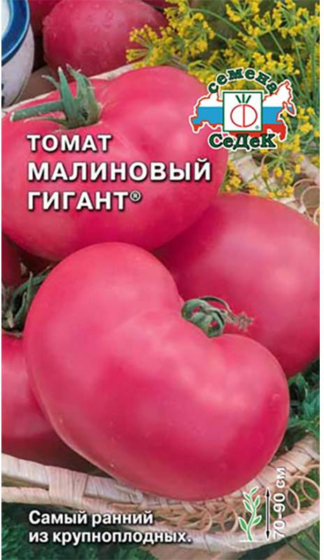 Вкусные и потрясающие томаты «малиновый гигант»: описание сорта, выращивание, фото помидоров