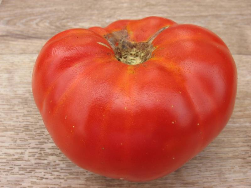 Простой в уходе раннеспелый томат бабушкин сюрприз — секреты выращивания и описание сорта