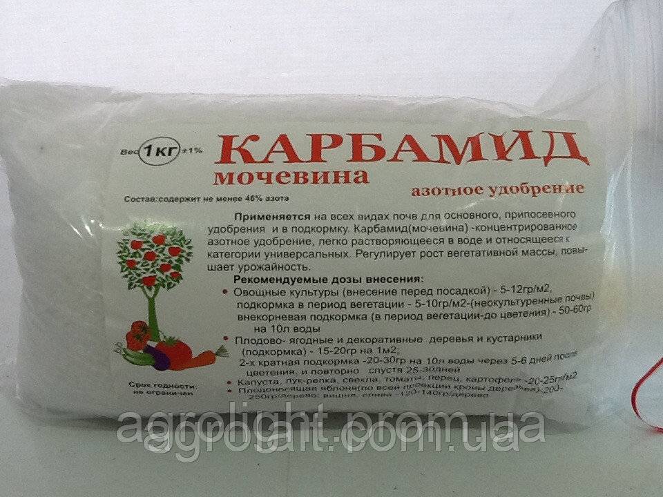 Внекорневая подкормка картофеля: чем производится, для чего нужна, полезные рекомендации