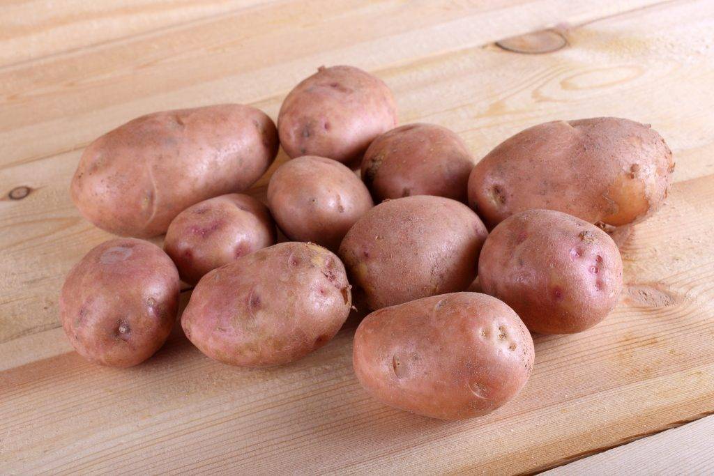 Лучшие сорта картофеля на 2020 год: самые вкусные и урожайные