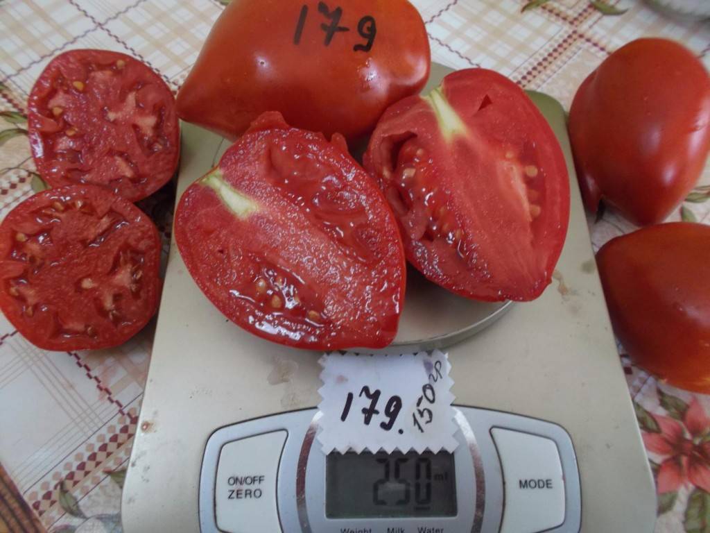 Томат ракета: выращивание и описание сорта
