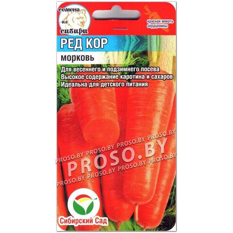 Морковь ред кор: описание, выращивание, отзывы