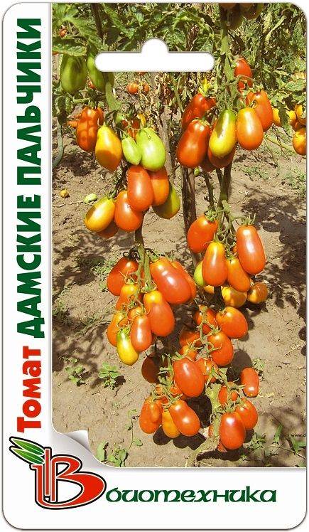 Сорт с впечатляющей продуктивностью — томат детские пальчики f1: подробное описание помидоров