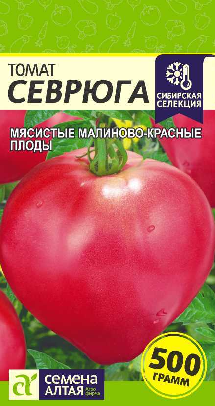 Томат пудовик (севрюга): характеристика и описание сорта, отзывы, фото