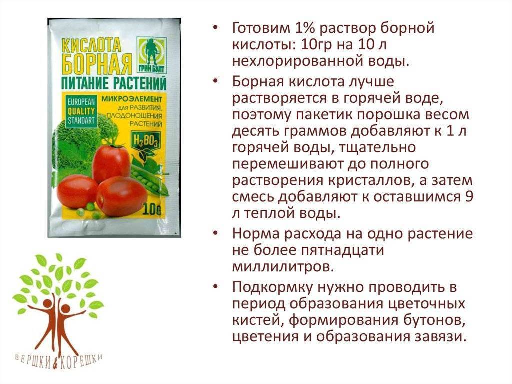 Борная кислота для огурцов в качестве подкормки: как приготовить раствор и опрыскивать – zelenj.ru – все про садоводство, земледелие, фермерство и птицеводство