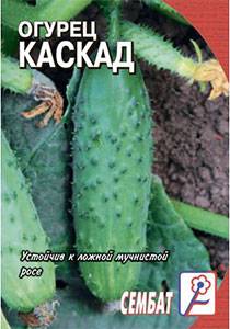 Огурец каскад