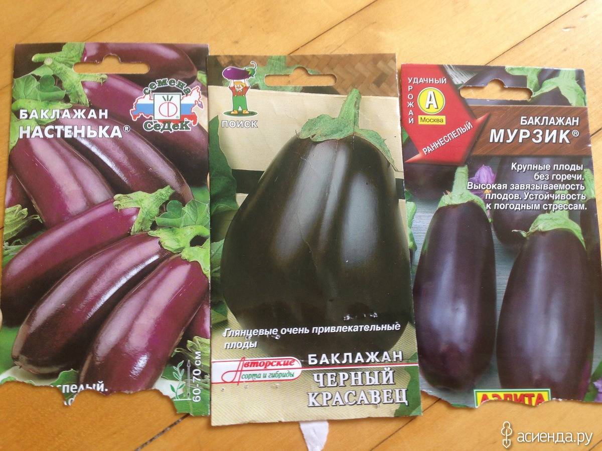 Лучшие сорта баклажанов: ранние, вкусные, урожайные, без горечи, для открытого грунта, теплицы, для сибири, урала, подмосковья, отзывы
