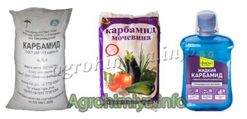 Карбамид можно ли поливать. Карбамид. Карбамид жидкий. Раствор карбамида. Мочевина для растений жидкая.