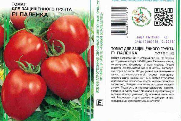 Правда ли, что томат «кукла» это лучший сорт для выращивания в теплице?